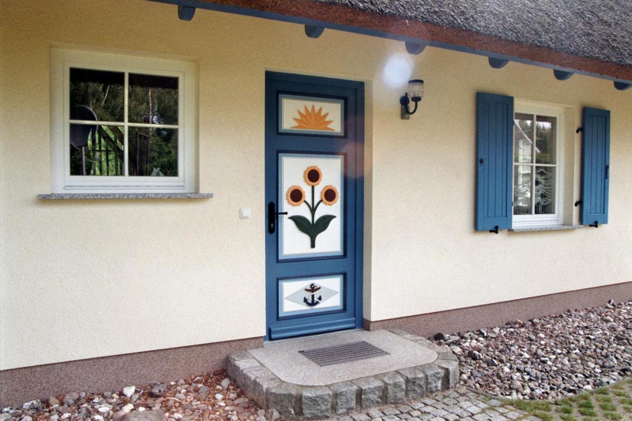 Ferienhaus Mine Sehnsucht Dierhagen Buitenkant foto